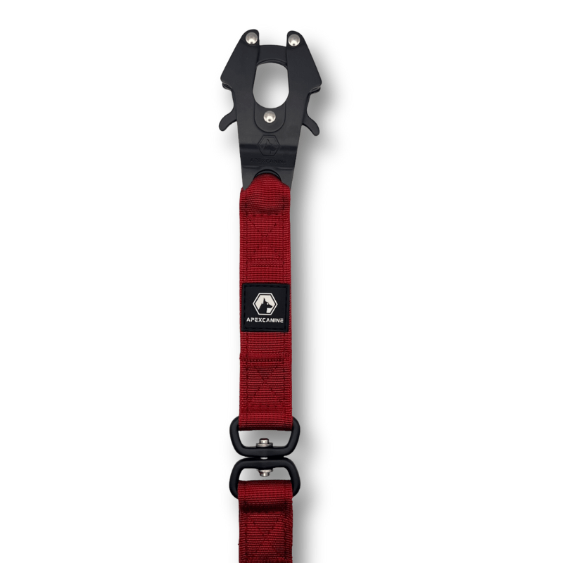 ApexCanine 1.4m Tactical Swivel Lead - Burgundy- White Background- Zoomed in and showing logo