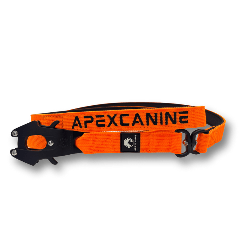 ApexCanine 1.4m Tactical Swivel Dog Lead -  In colour Orange - photo on white background