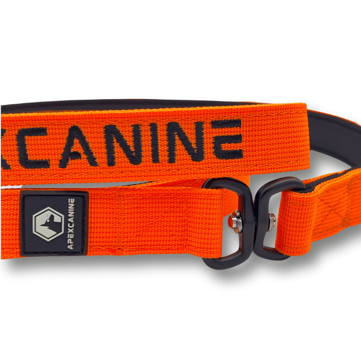 ApexCanine 1.4m Tactical Swivel Dog Lead -  In colour Orange - photo on white background