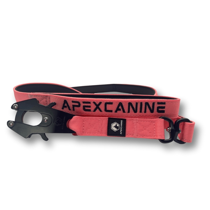 ApexCanine 1.4m Tactical Swivel Dog Lead -  In colour Pink