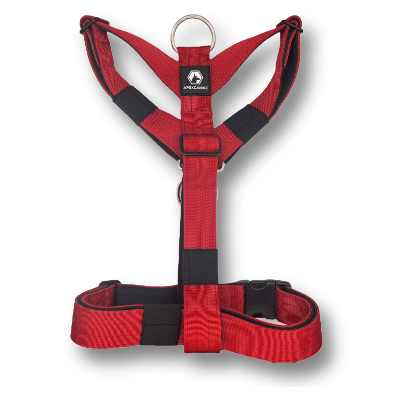 ApexCanine Anti-pull Harness - Burgundy