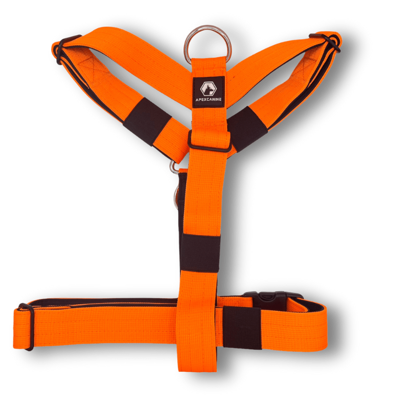 ApexCanine Anti-pull harness - Orange