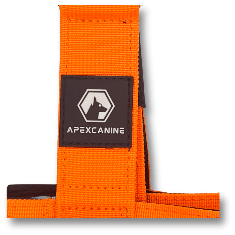 ApexCanine Anti-pull harness - Orange