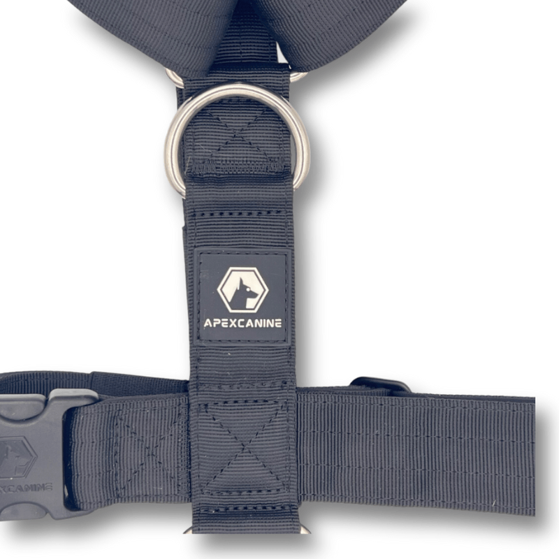 ApexCanine Dog Harness Anti-pull Harness - Black - zoomed in on details  