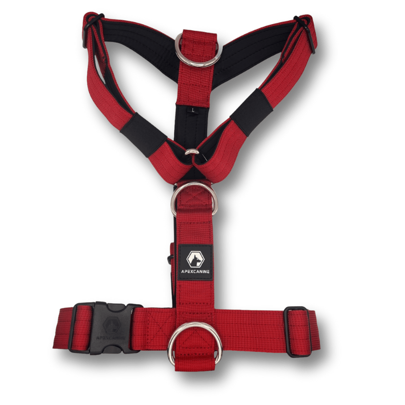 ApexCanine Small Anti-pull Harness - Burgundy - full view