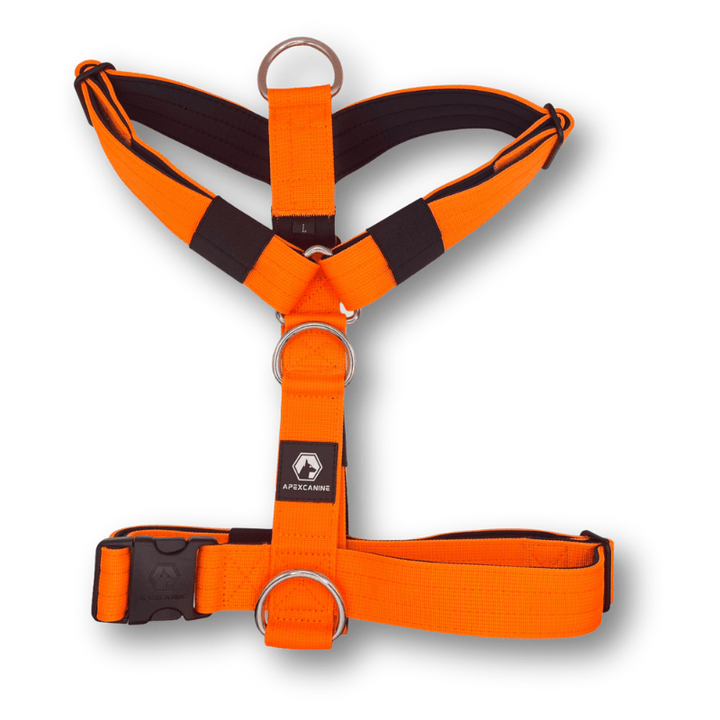 ApexCanine Small Anti-pull harness - Orange