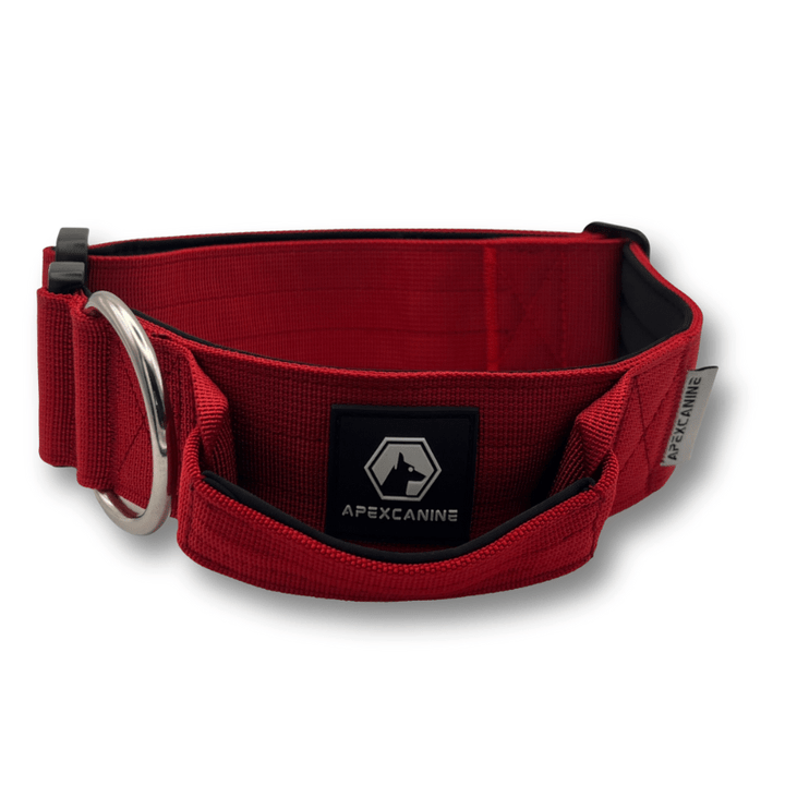 ApexCanine Small Tactical Dog Collar - Burgundy