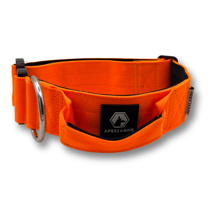 ApexCanine Small Tactical Dog Collar - Orange - close up on logo - white background