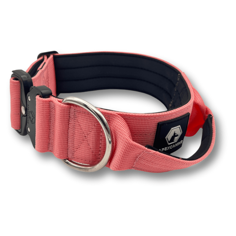 Pink tactical best sale dog collar