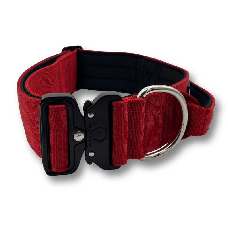 ApexCanine Tactical Dog Collar - Burgundy