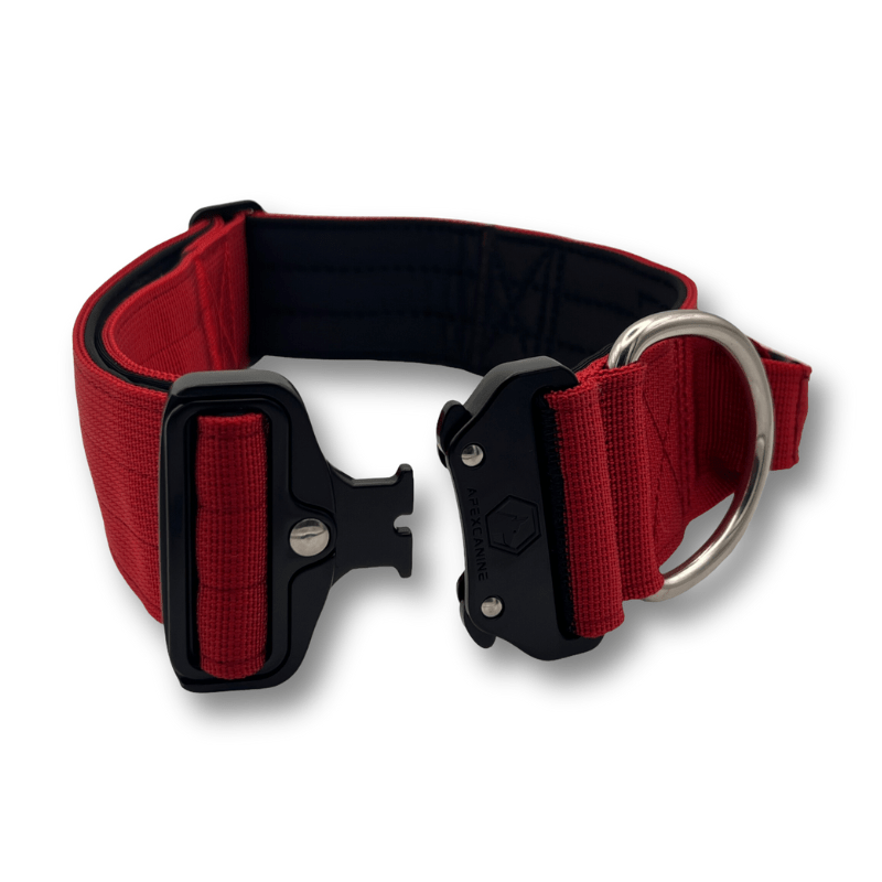 ApexCanine Tactical Dog Collar - Burgundy