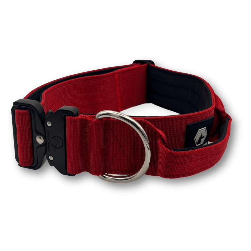 Burgundy 2024 dog collar