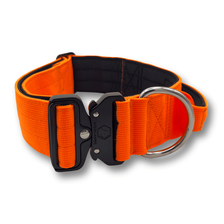 ApexCanine Tactical Dog Collar - Orange