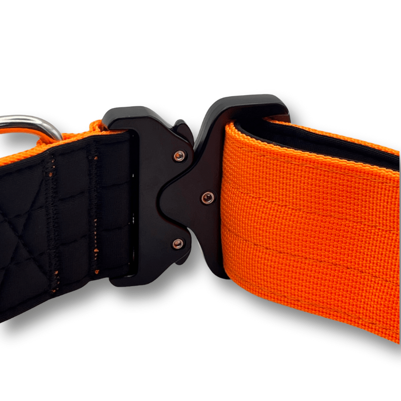 ApexCanine Tactical Dog Collar - Orange - close up on details - white background 