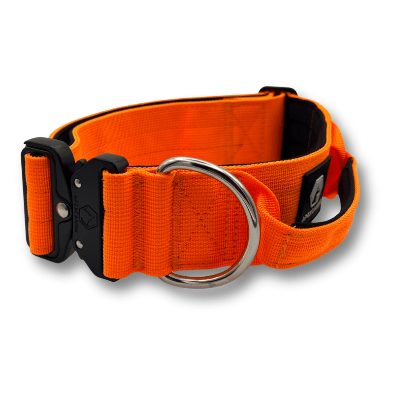 ApexCanine Tactical Dog Collar - Orange - close up - white background