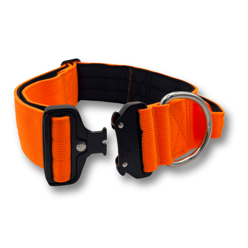 ApexCanine Tactical Dog Collar - Orange- open clip - white background