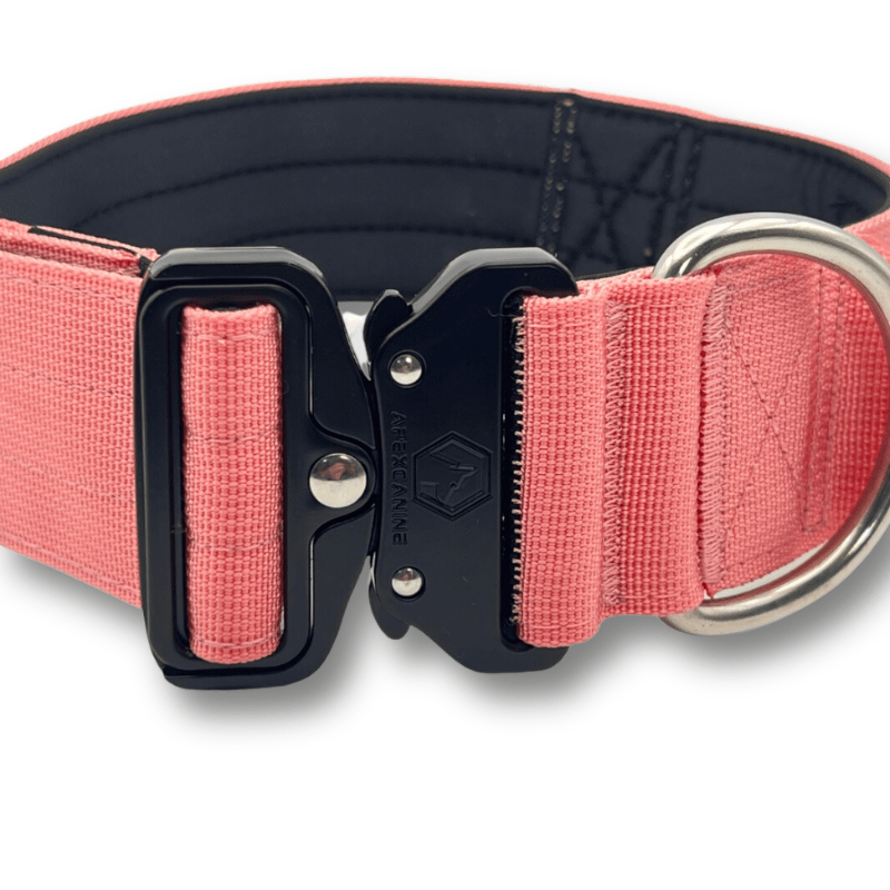 ApexCanine Tactical Dog Collar - Pink