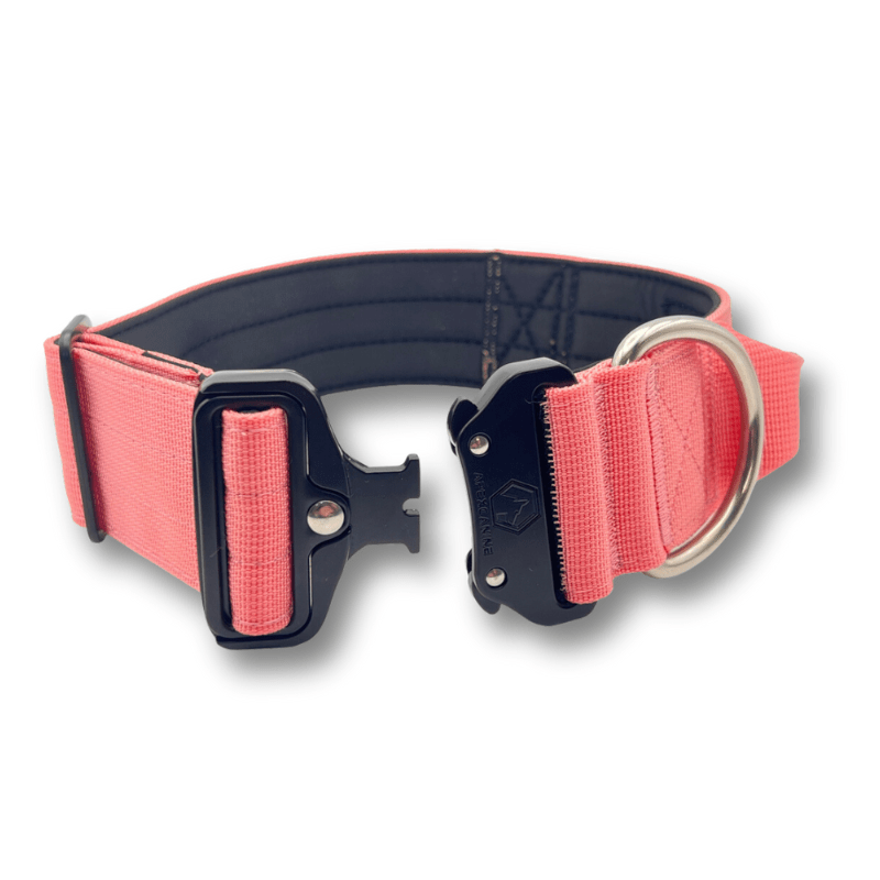 ApexCanine Tactical Dog Collar - Pink