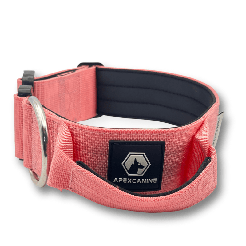 ApexCanine Tactical Dog Collar - Pink