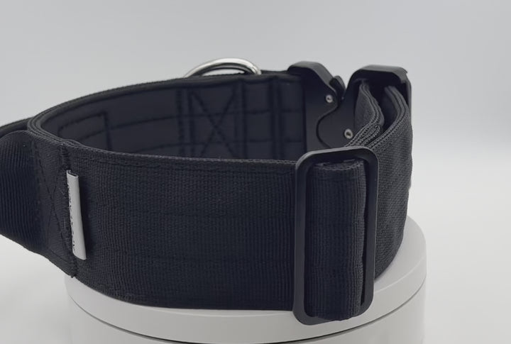 video of black dog collar rotating