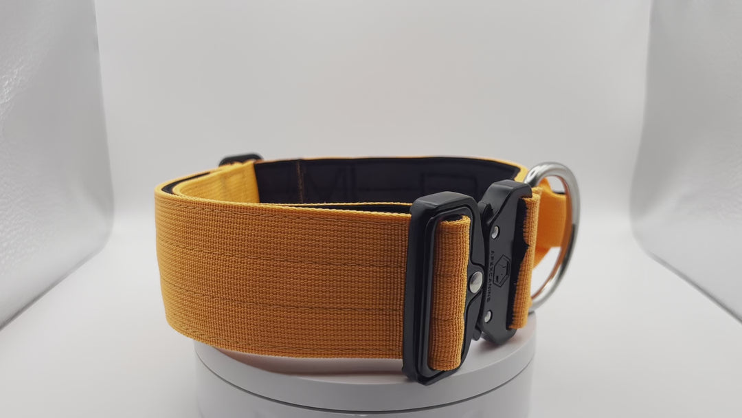 Orange dog collar rotating - full 360 view